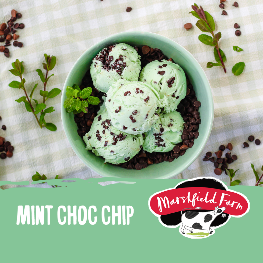 Marshfield icecream