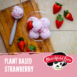 Plant-based-strawberry