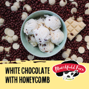 Plant-based-white-chocolate-with-honeycomb