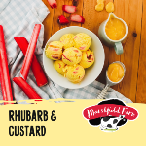 Rhubard-and-Custard