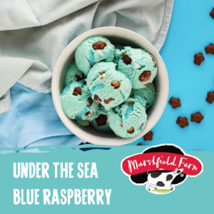Under-the-sea-blue-raspberry