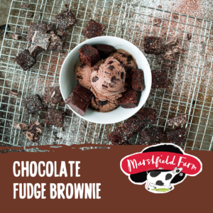 chocolate-fudge-brownie