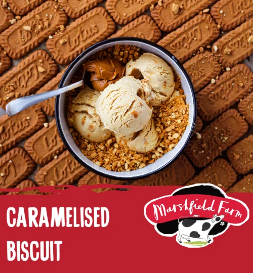 13939-Caramelised-Biscuit-Distributor-Graphic-1024x1024