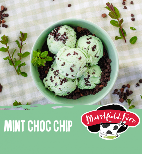 67285-6425-Mint-Choc-Chip-Distributor-Graphic-1024x1024